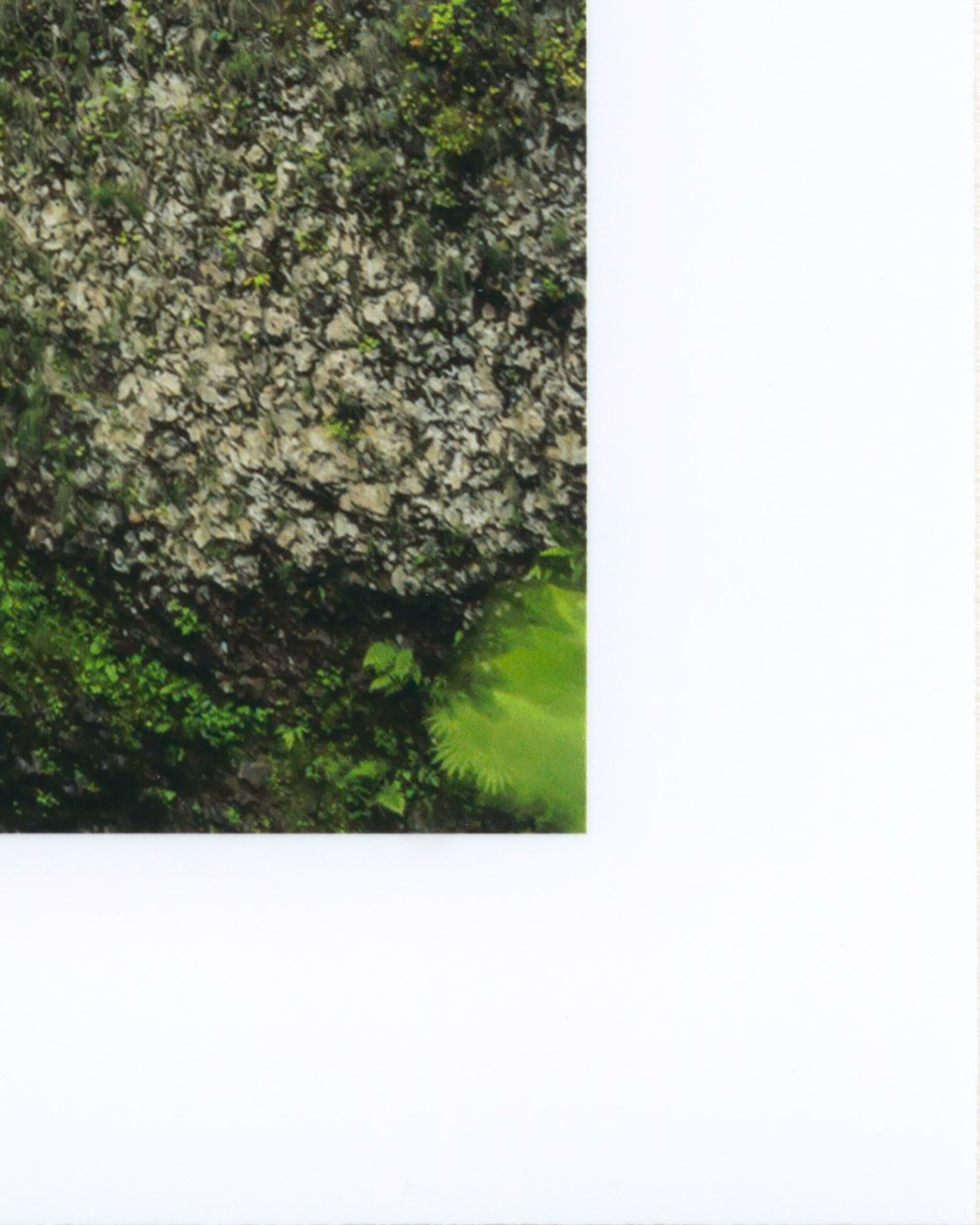 FAD-M-006-14-Z-2-V1