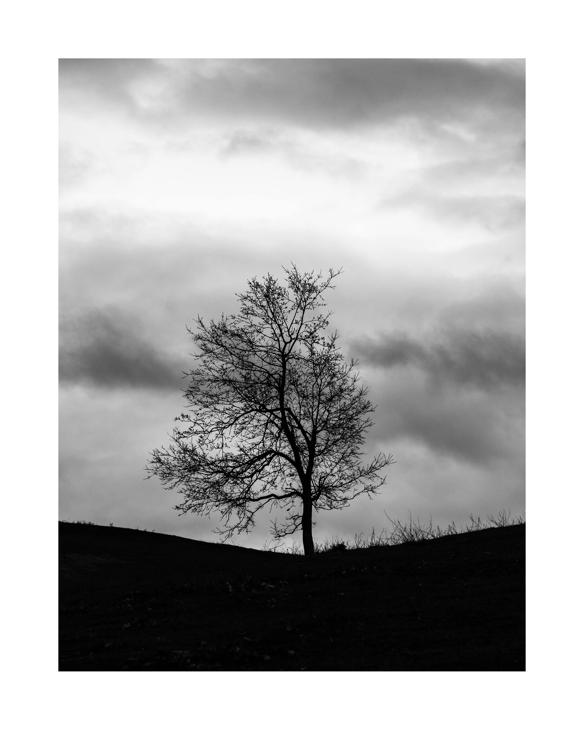FAD-M-013-2-O-V1 Hahnemuhle - Photo Rag