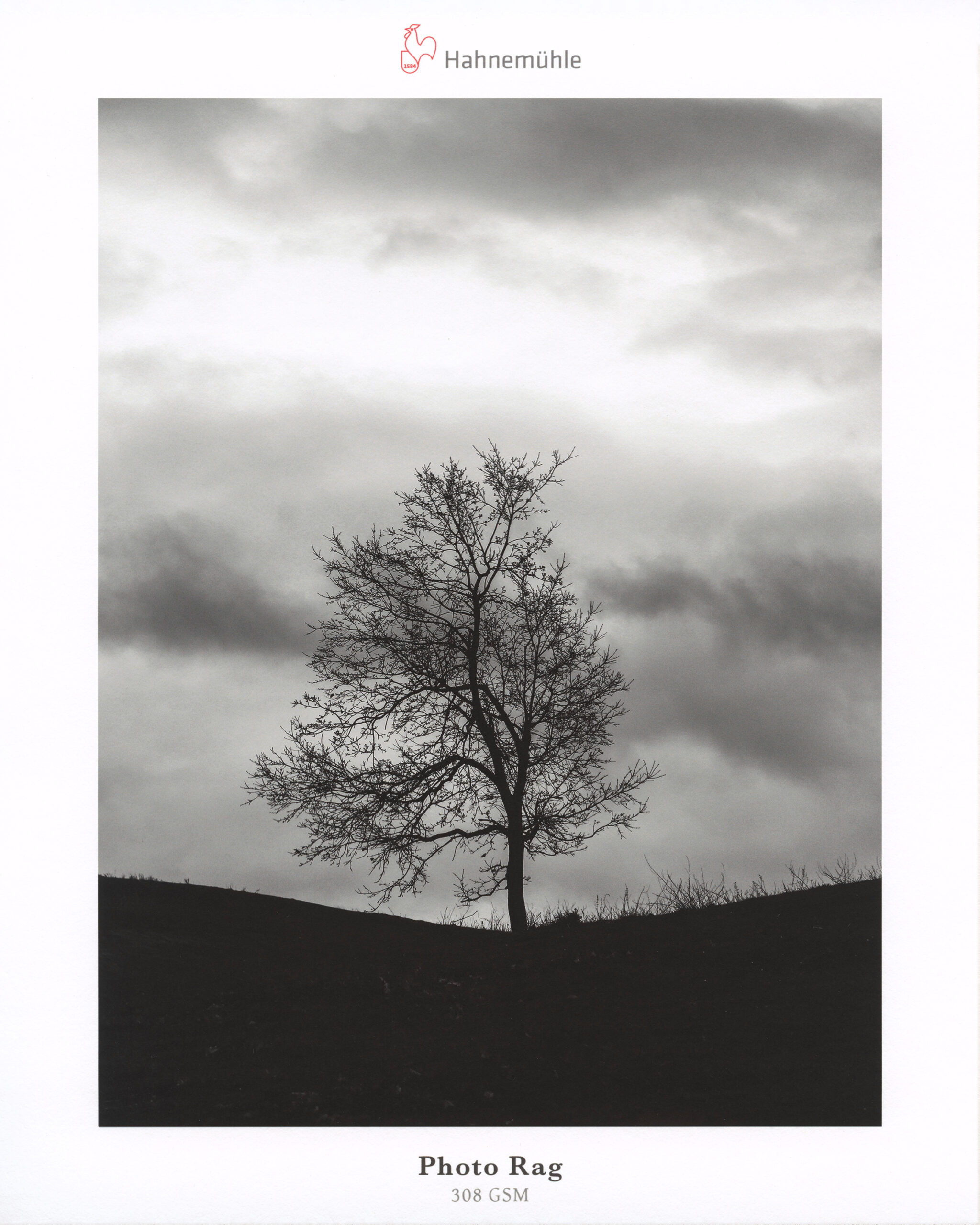 FAD-M-013-2-S-V1 Hahnemuhle - Photo Rag