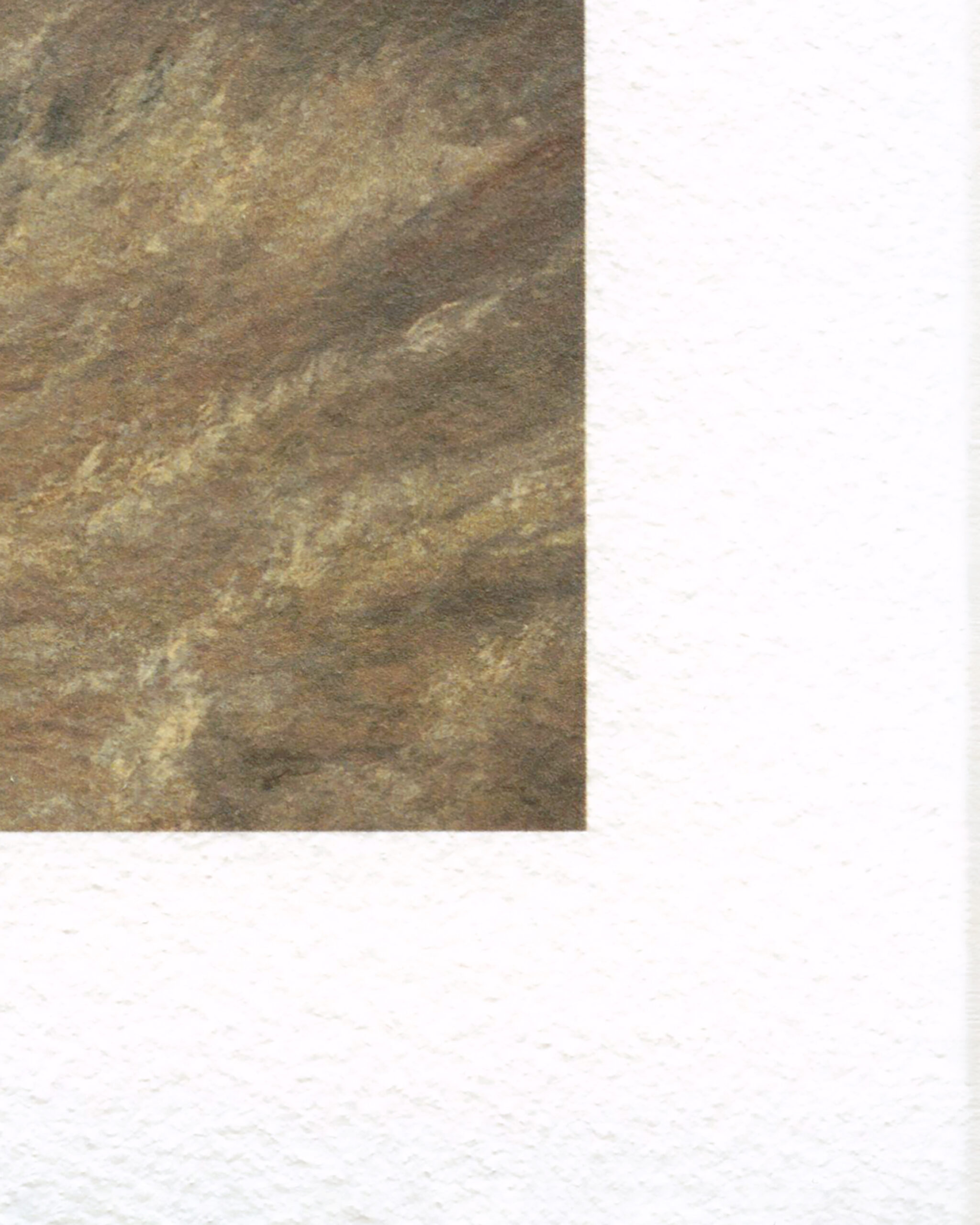 FAD-M-017-5-Z-2-V1 Hahnemuhle - William Turner